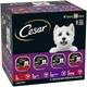 CESAR MULTIPACK